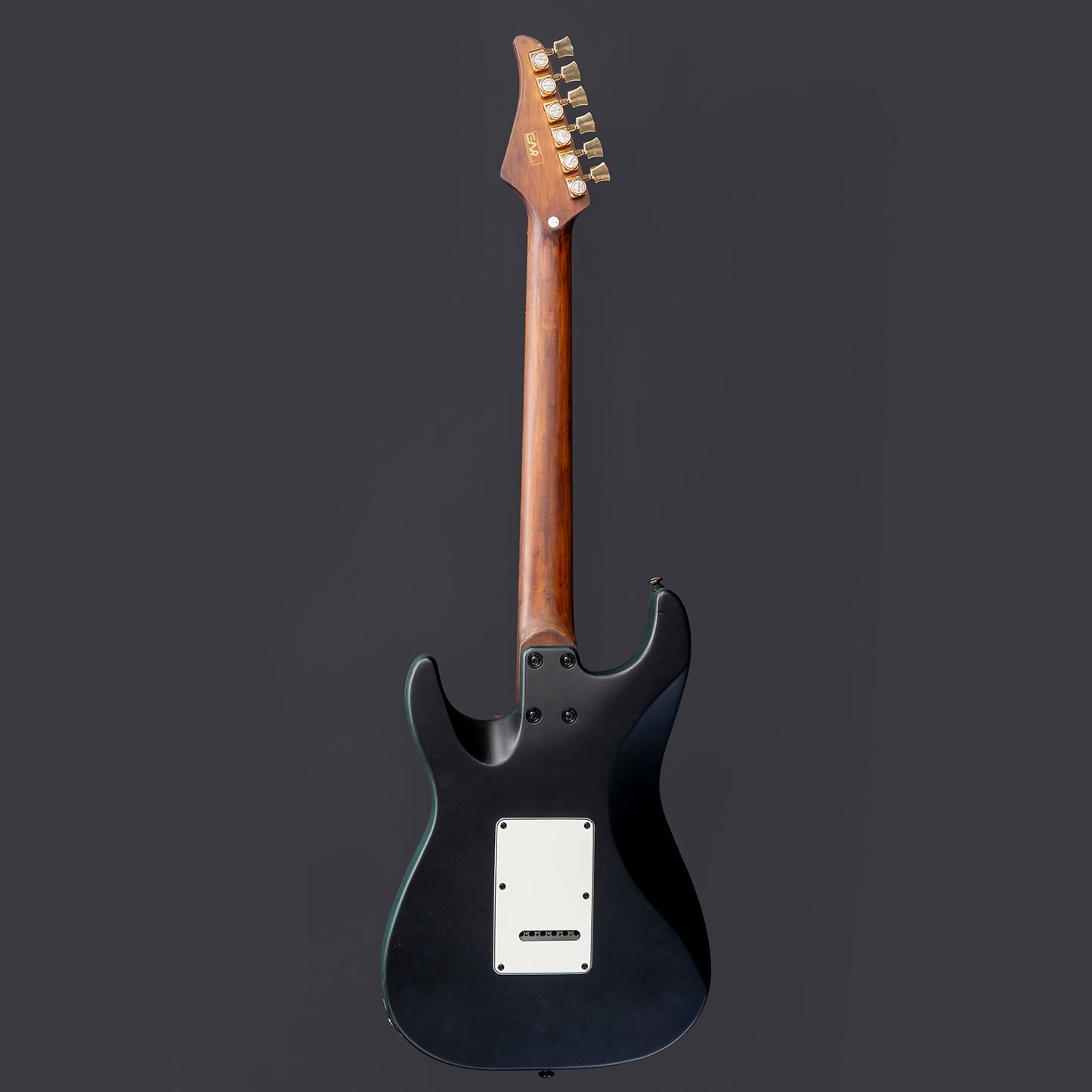 Eart Guitars Handmade Lacquer Art-Collector's Edition 3707T5120133