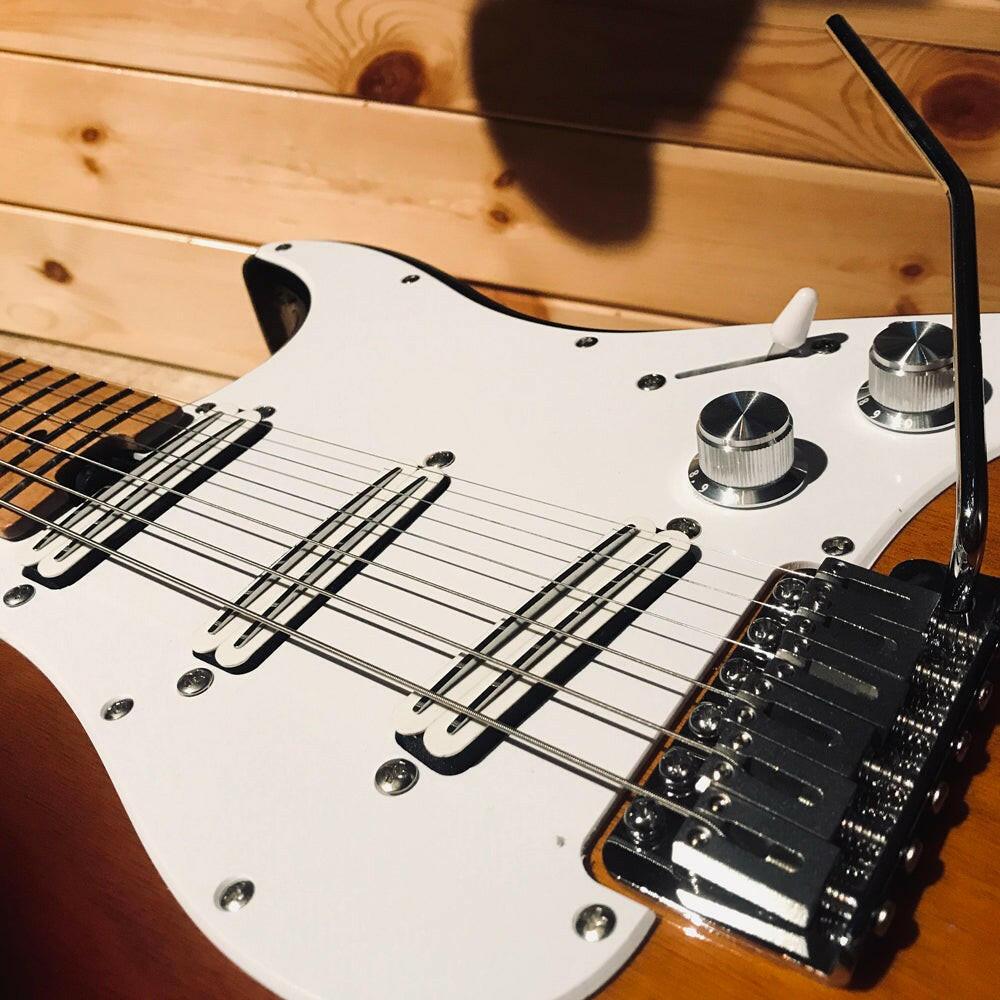 EART_electric_guitar_EAT-1_bridge Eart guitars, EAT-1, Model High Power Mini Humbucker Electric Guitars, Sunburst