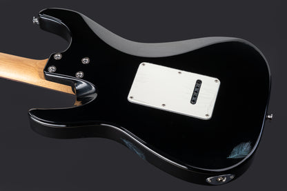 0181_5 Eart Guitars Handmade Lacquer Art-Collector's Edition 3707T5110181