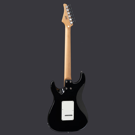 Eart Guitars Handmade Lacquer Art-Collector's Edition 3707T5110184