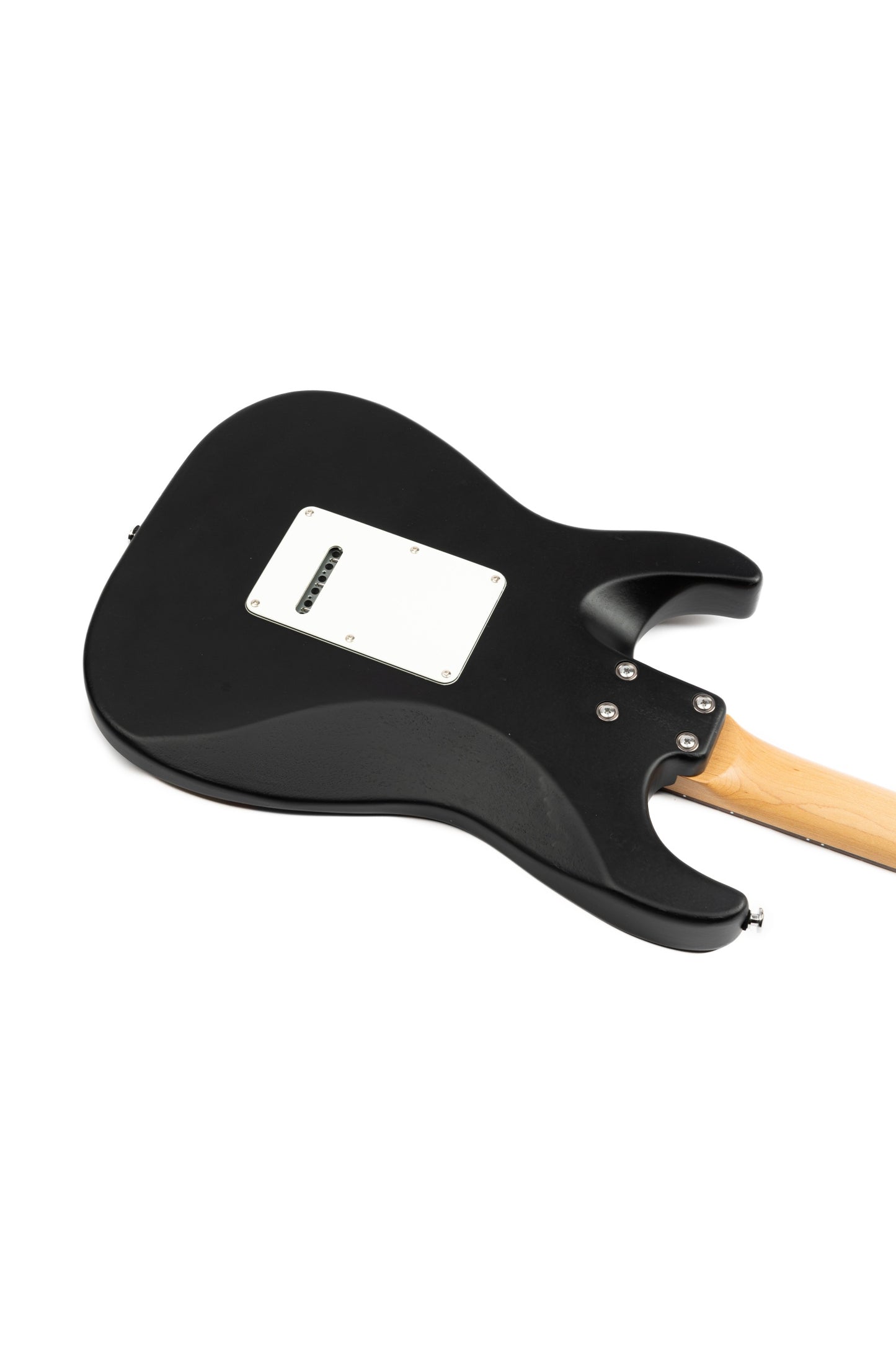 20250603081738_1 Eart Guitars Handmade Lacquer Art-Collector's Edition 3707T5050221