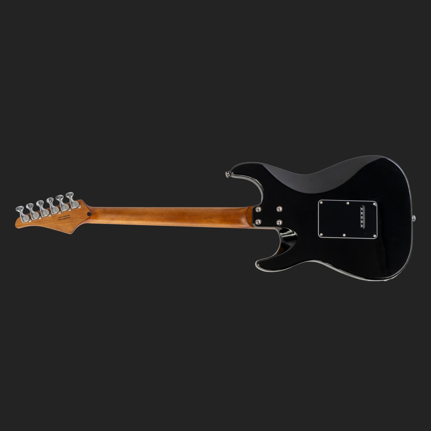 294518b4-6cdc-4770-a4b1-3a8cf25abbef_1 Eart Guitars Handmade Lacquer Art-Collector's Edition 3707T6030333