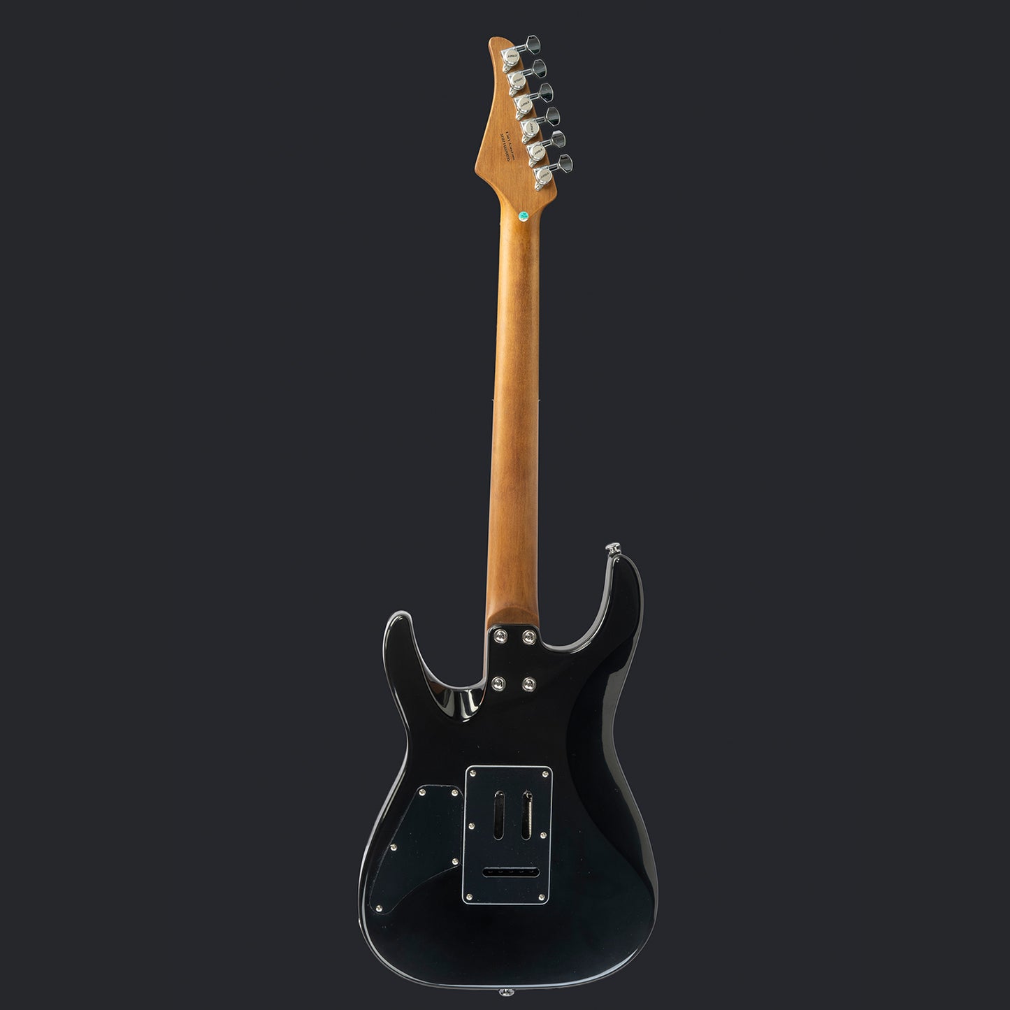 Eart Guitars Handmade Lacquer Art-Collector's Edition 3707T6020035