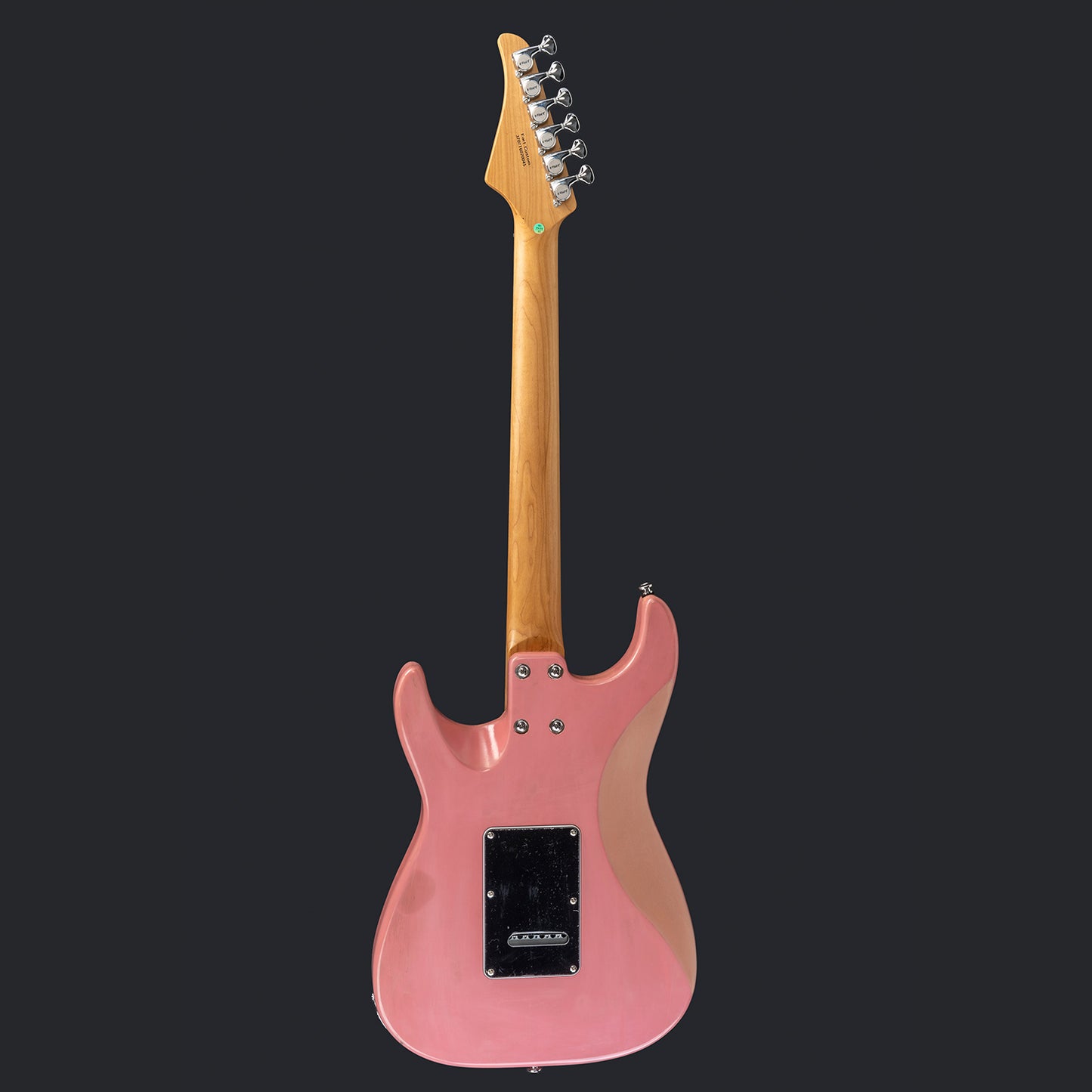 Eart Guitars Handmade Lacquer Art-Collector's Edition 3707T6020045